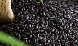 56吃瓜网 朝阳黑料,56吃瓜网深度解析“黑料”事件